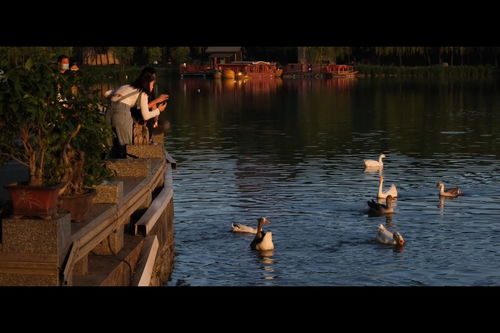 风景隽永的读音