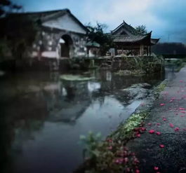 早风那知世事限,中原北望气如山,楼船夜寻瓜州度,铁马秋分大散关。_百度