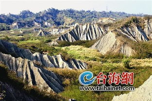 田寮村属于哪个省哪个市