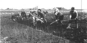 方正县人与日本人什么关系