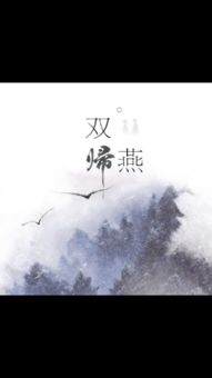 双归雁，双归雁明月珰小说免费阅读