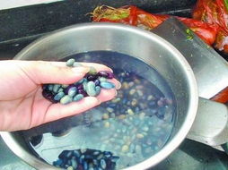 皂角刺的功效与作用，皂角米有什么功效与作用