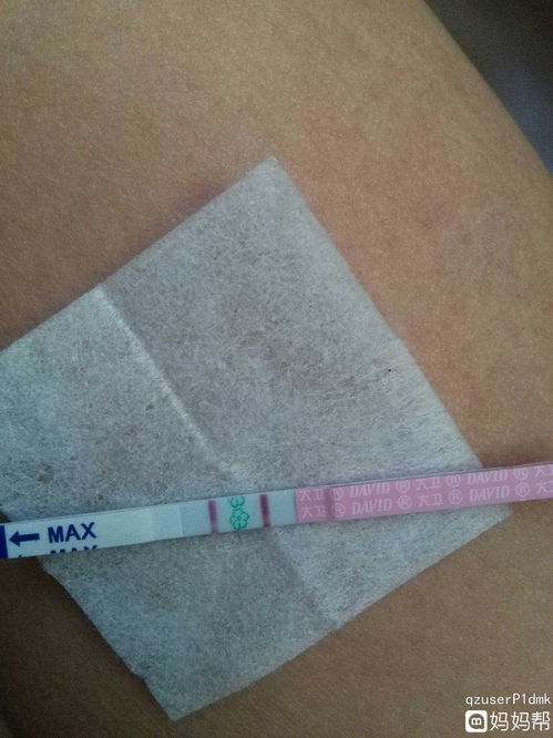 封妻荫子褒义还是贬义，封妻荫子怎么读