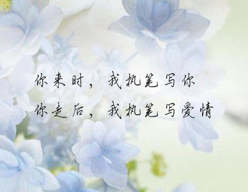 怀念过去的歌词