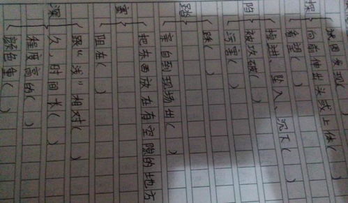 依的组词两个字，依的组词有哪些呢