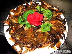 哈什蚂的作用与功效，哈什蚂怎么读