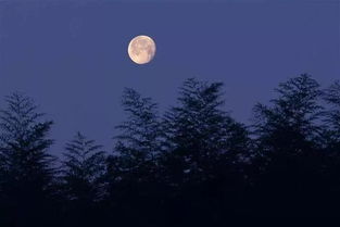 形容月亮的成语