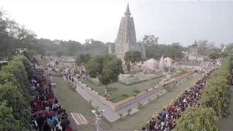 rang的汉语意思是什么?