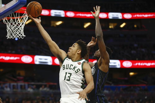 bucks是什么意思，bucks是哪个球队34号