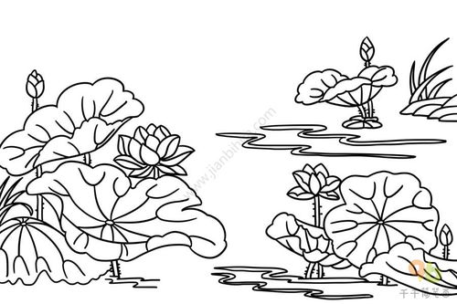 美丽的荷塘怎么画