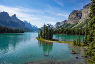 熟悉的地方没有风景,所以我们都不约而同地选择了远行，为什么熟悉的地方没有风景