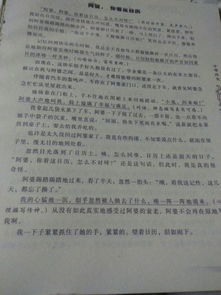 孝老爱亲演讲稿范文，孝老爱亲演讲稿5分钟