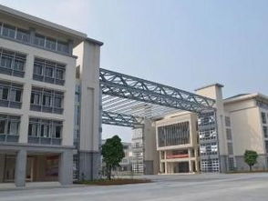 广东青年职业技术学院在哪?