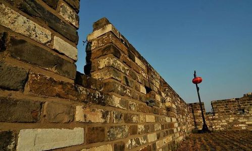 三大营是干什么的?