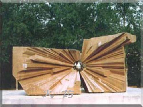 活板文言文翻译及原文注音