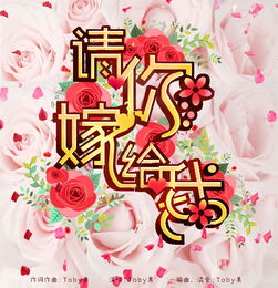 please marry me翻译