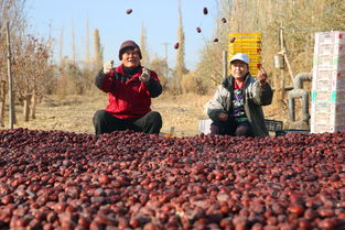 拔地而起的意思和造句，拔地而起的意思的字