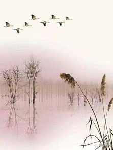 归雁古诗意思，归雁古诗拼音版