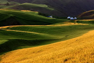 美丽人间歌词是什么