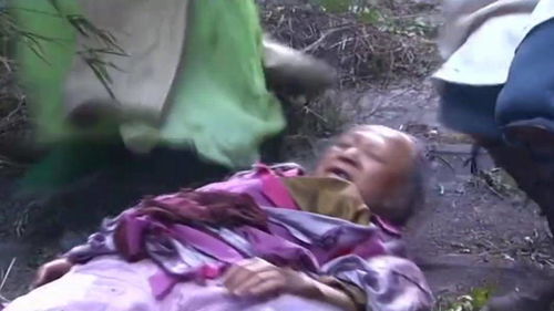 吐枣核的是裘千尺还是裘千仞