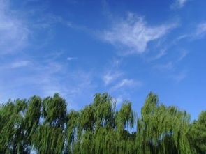 碧空如洗的意思是什么?