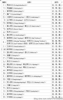 壮的偏旁部首叫什么名字怎么读，化的偏旁部首