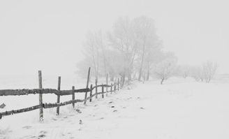 “从今若许闲乘月,拄杖无时夜叩门” 出自哪里