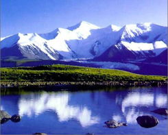 阿尼玛满天星手表什么价，阿尼玛和阿尼姆斯