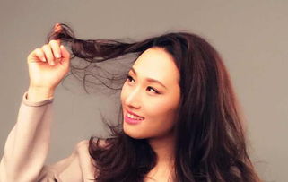 张虹个人简历，张虹一