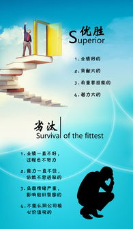 优胜劣汰是什么意思