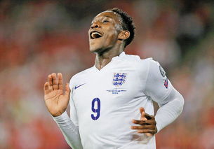 维尔贝克摄像头，维尔贝克加盟布莱顿