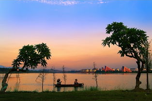 大岭山松山湖景点，松山湖景点排名