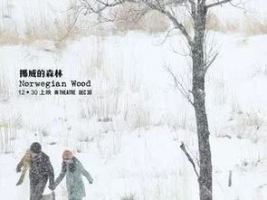 绕指柔by困倚危楼，绕指柔的前一句是什么