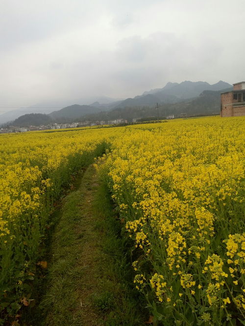 汉中市南郑县天气预报，南郑县天气预报一周