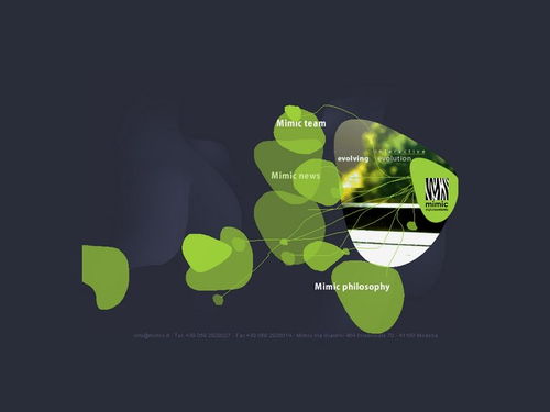 mimic是什么意思