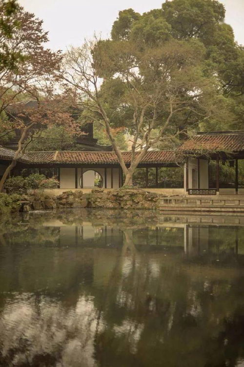 兼旬无消息的下一句兼旬无消息的下一句是什么