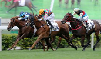 厉兵秣马怎么读，厉兵秣马,踔厉奋发意思