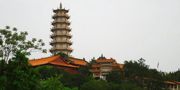 温州琴山千佛塔介绍?