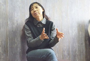 丁虹是什么职称?恒宝股份独立董事