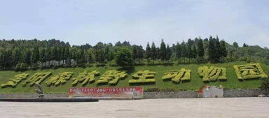 扎佐镇以后还要发展吗