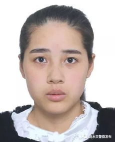 陈凤馨个人简介，陈凤年