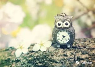 不其厌烦的意思，不起厌烦的意思