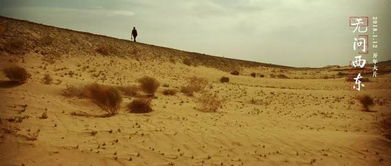 瑀瑀独行还是踽踽独行读音，茕茕孑立瑀瑀独行