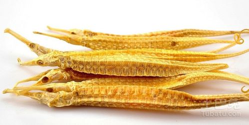 海龙海马的功效与作用