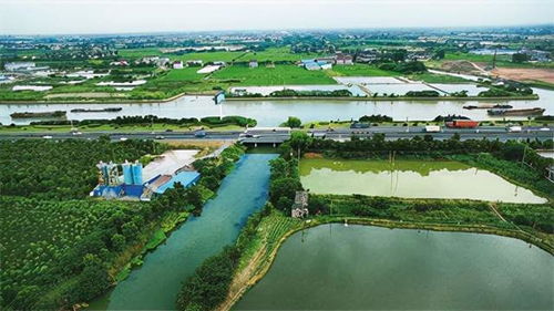 圩田图片，圩田农业科技(昆山)有限公司