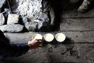 东山顶上的酥油茶百度云，东山顶上的酥油茶天涯