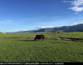 纳帕海依拉草原骑马多少钱