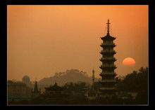 古山二号龙眼是哪里的