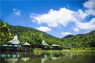 呀诺达雨林景点介绍