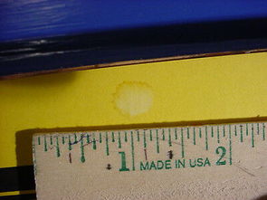 survey是什么意思呀，survey什么意思中文翻译